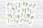 Preview: Leaves and Plants Sticker Set